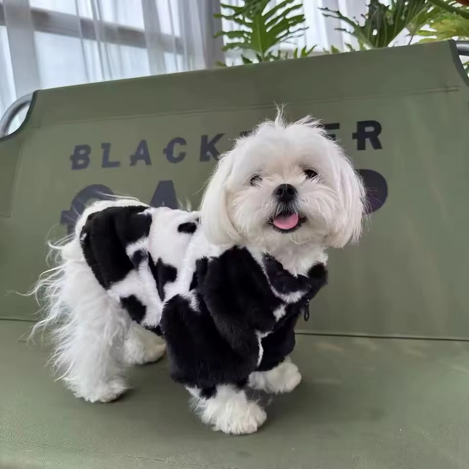 Cow jacket