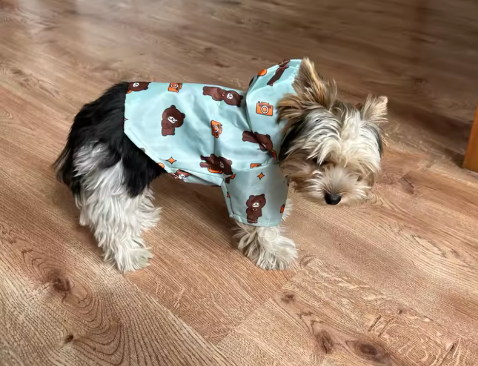 Bear rain coat