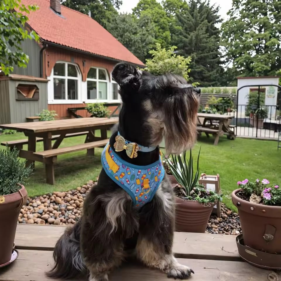 ‘26 summer Tailchic harness