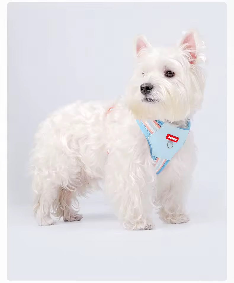 Teddy B harness
