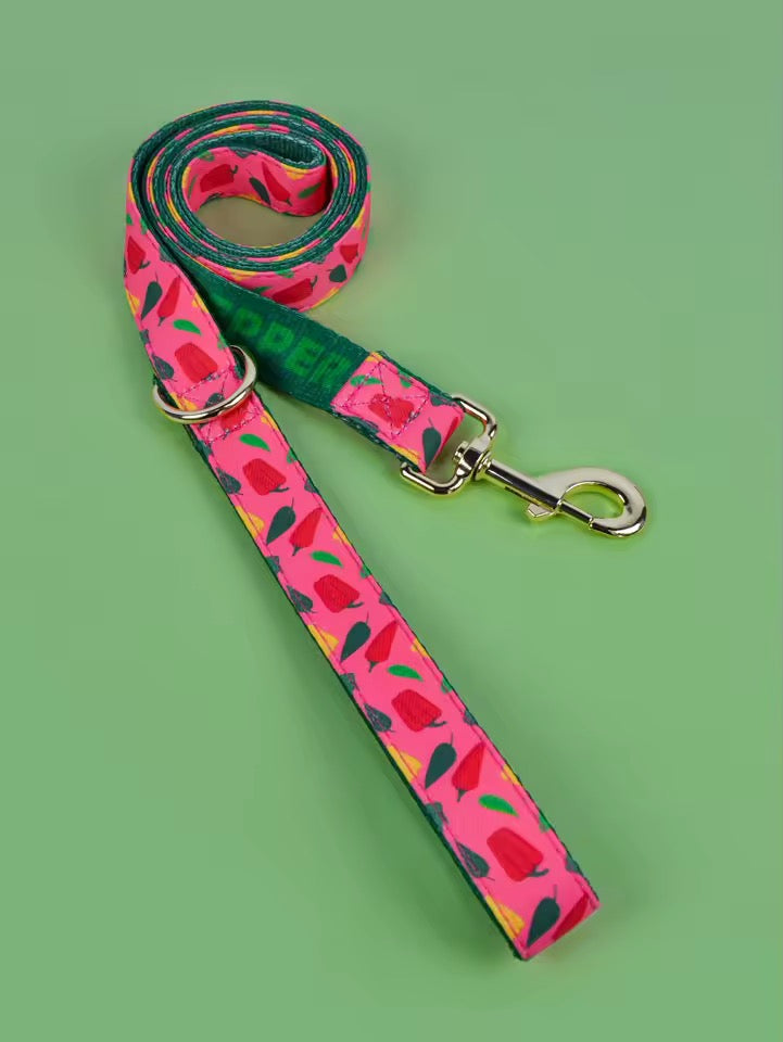 ‘26 summer leashes