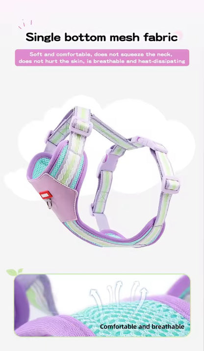 Teddy B harness