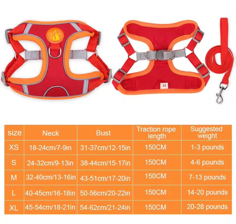 Basic harness