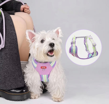 Teddy B harness