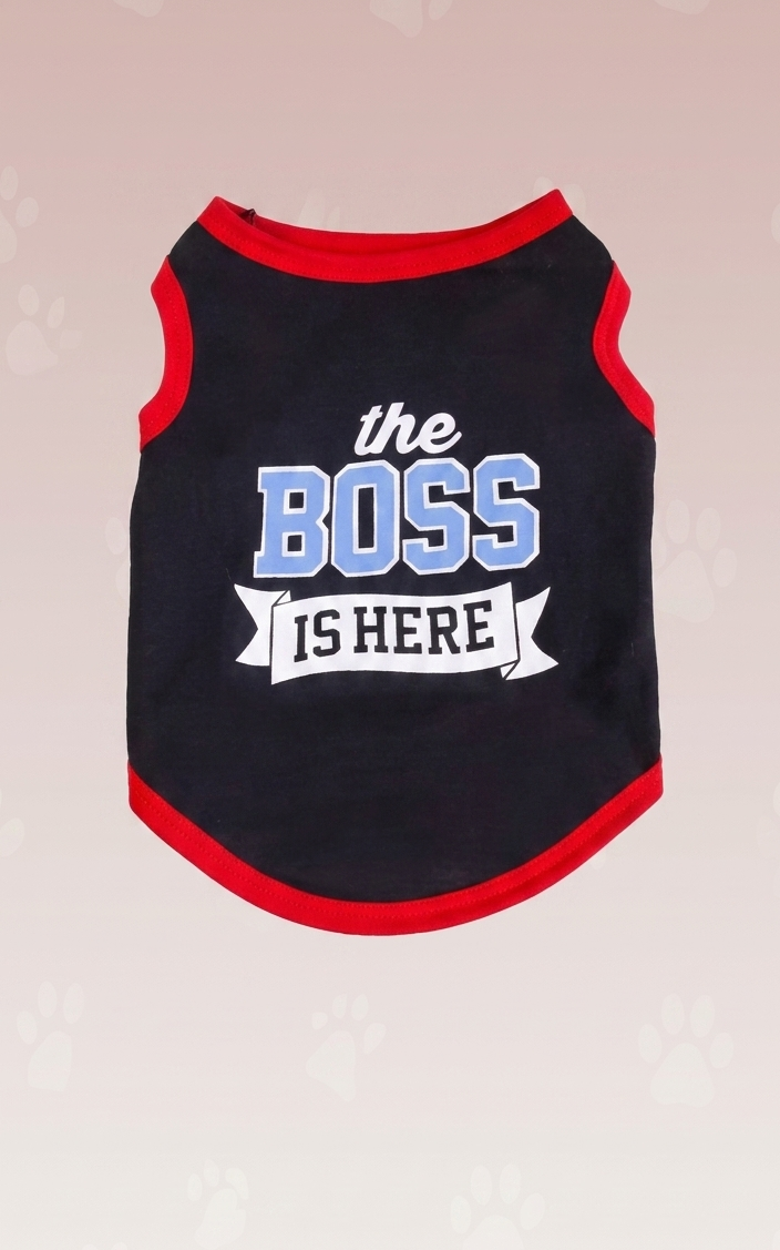 The Boss iH