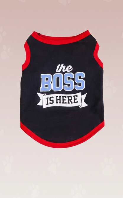 The Boss iH