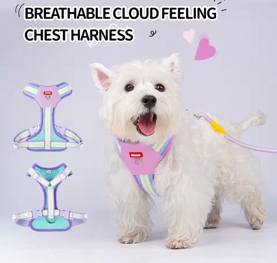 Teddy B harness