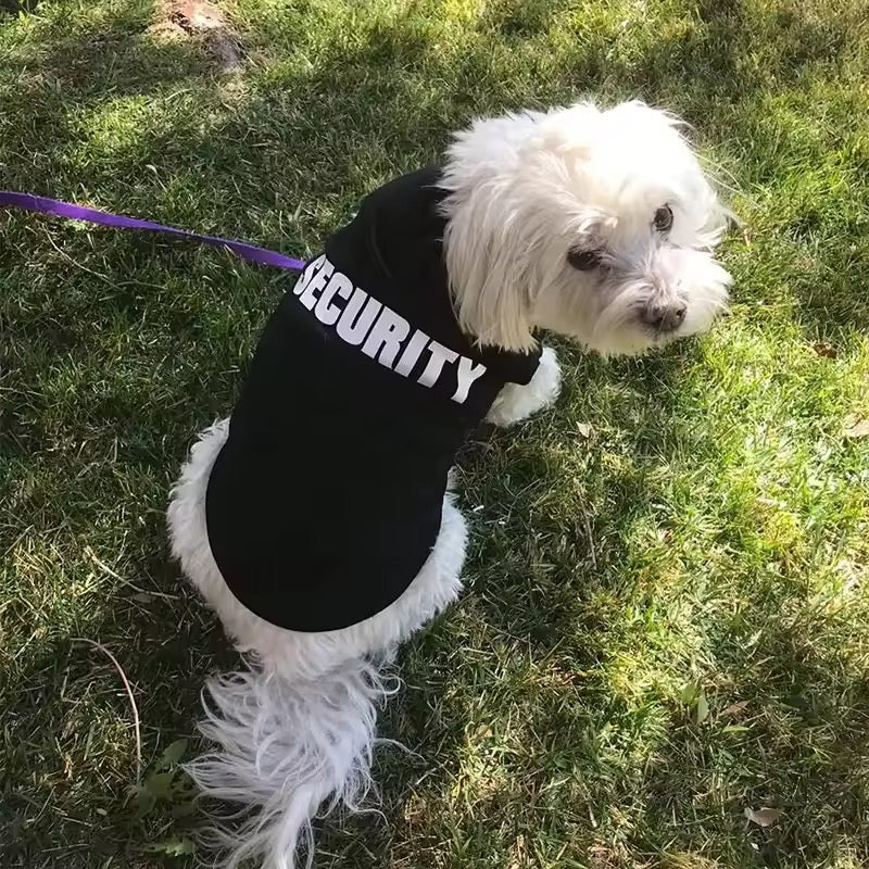 Security