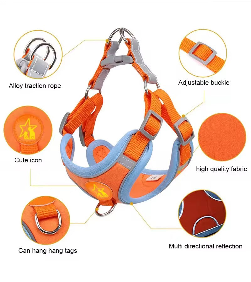 Basic harness