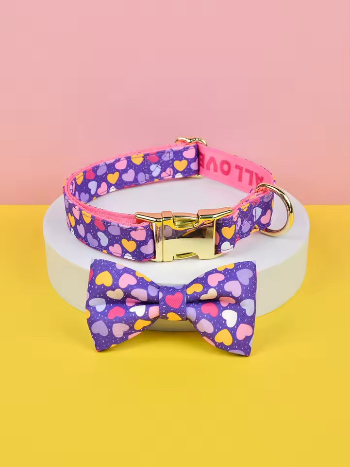 ‘26 summer Tailchic collar