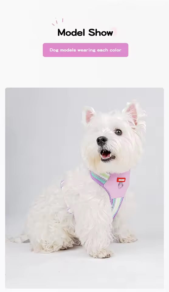 Teddy B harness