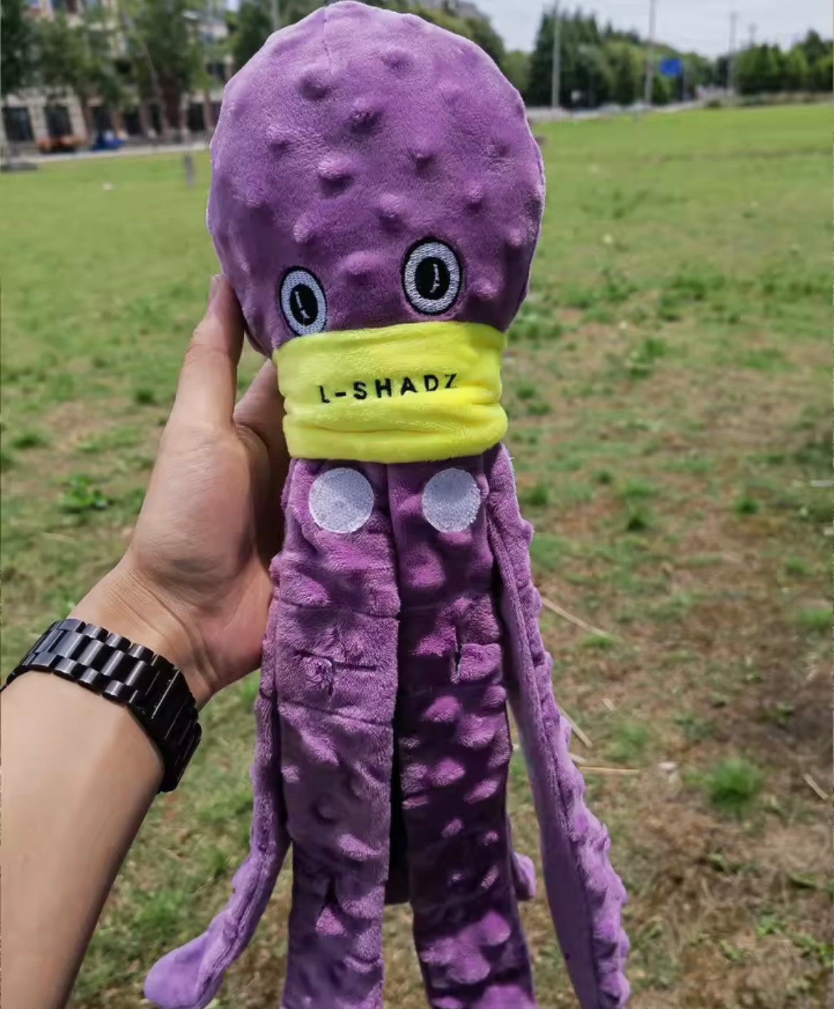 Octopus