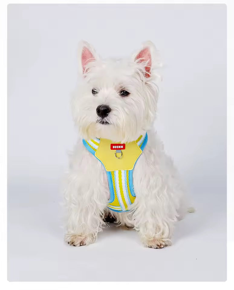 Teddy B harness