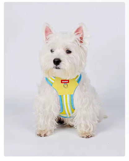 Teddy B harness