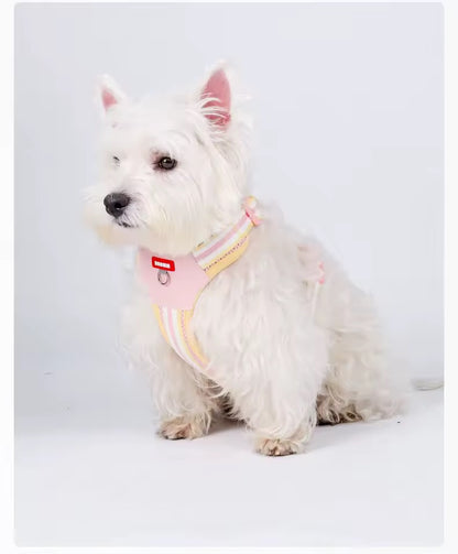 Teddy B harness