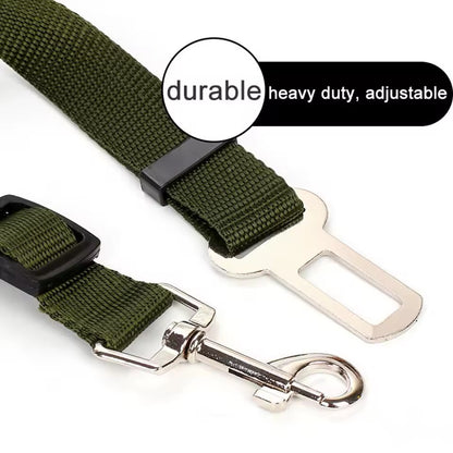 Car leash