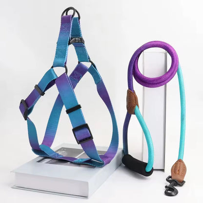 Colorful set