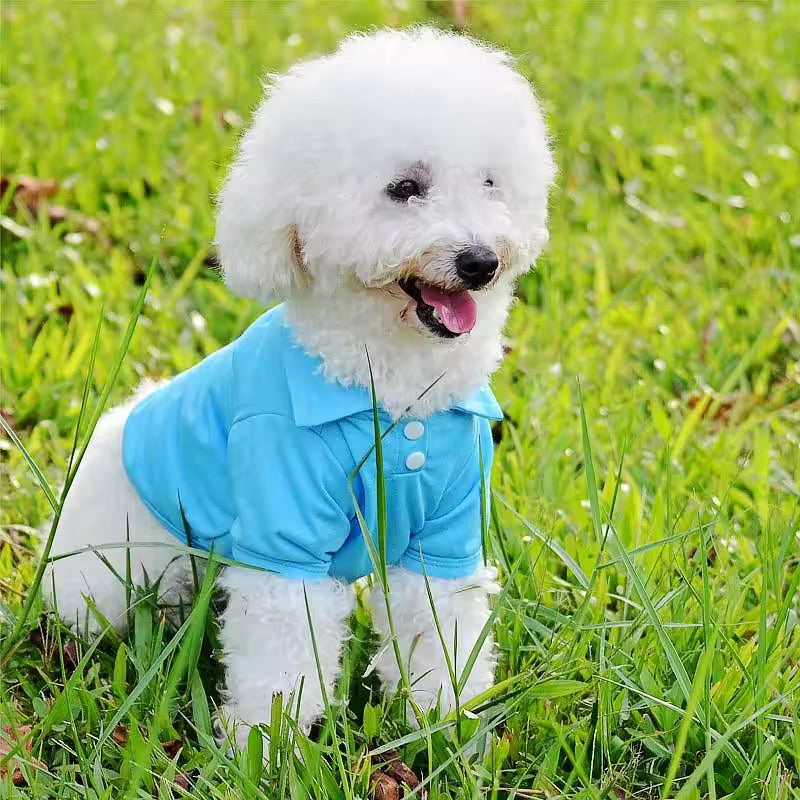 Summer shirt