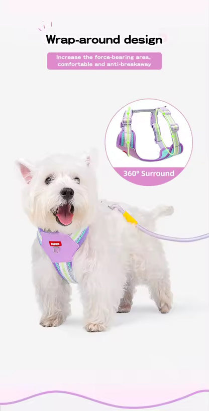 Teddy B harness
