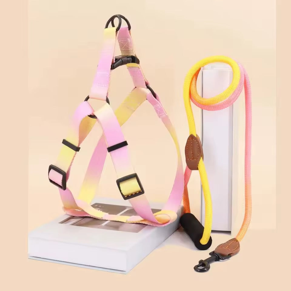 Colorful set