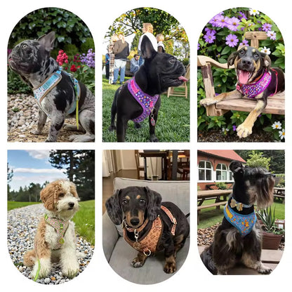 ‘26 summer Tailchic harness