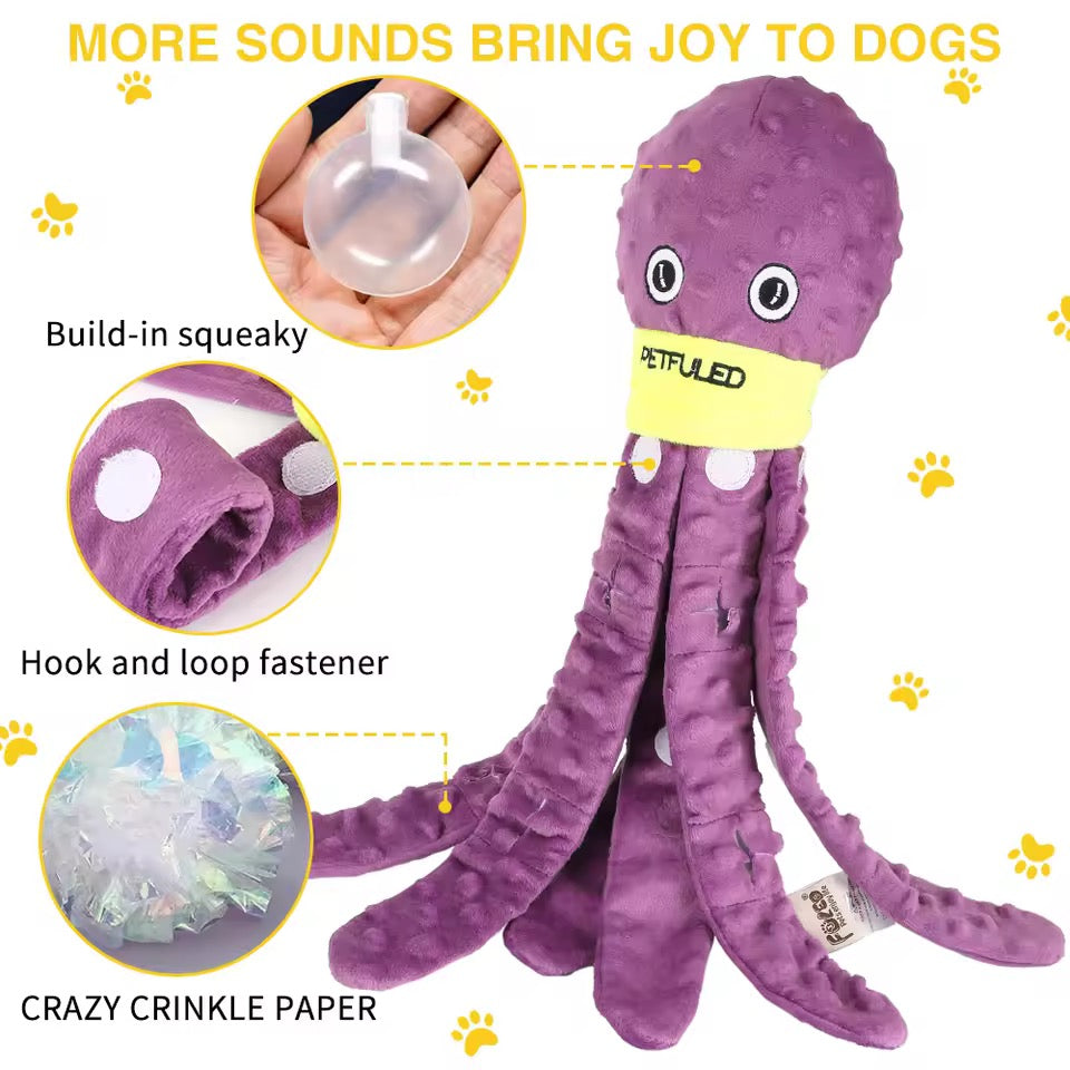 Octopus