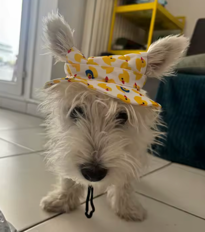 Duck hat