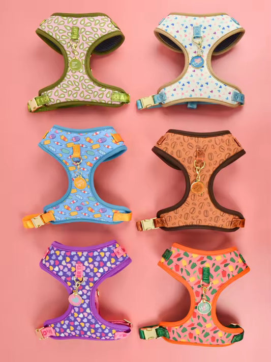‘26 summer Tailchic harness