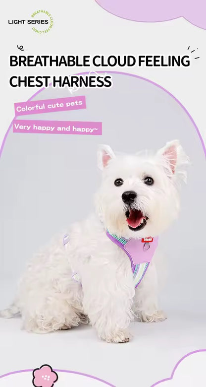 Teddy B harness