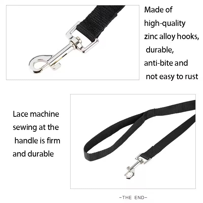 Car leash