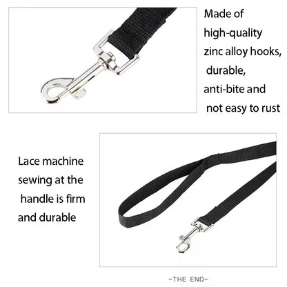 Car leash
