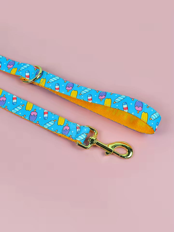 ‘26 summer leashes