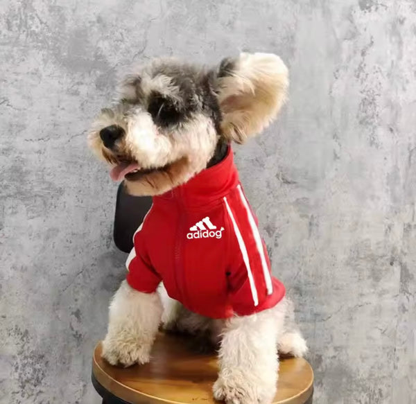Adidog jacket