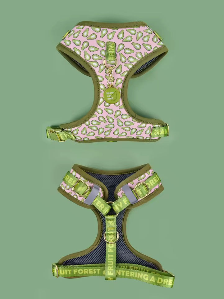 ‘26 summer Tailchic harness