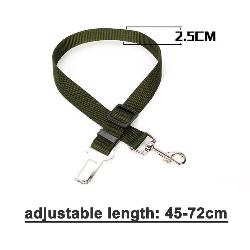 Car leash