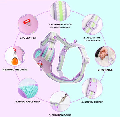 Teddy B harness