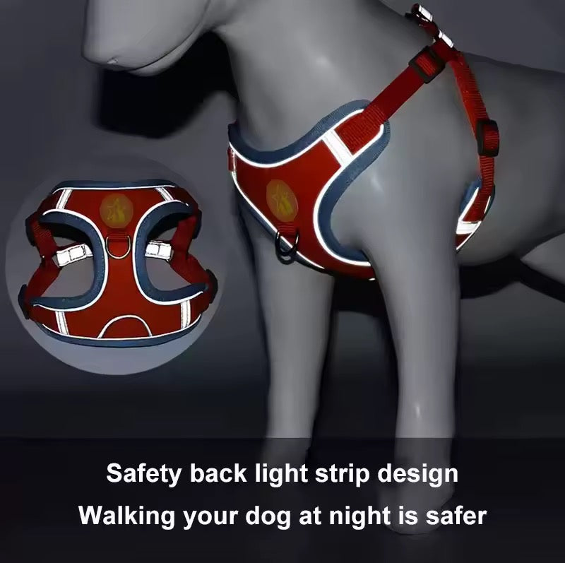 Basic harness
