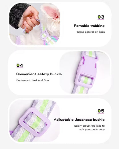 Teddy B harness