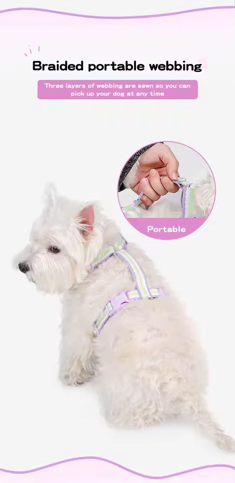Teddy B harness
