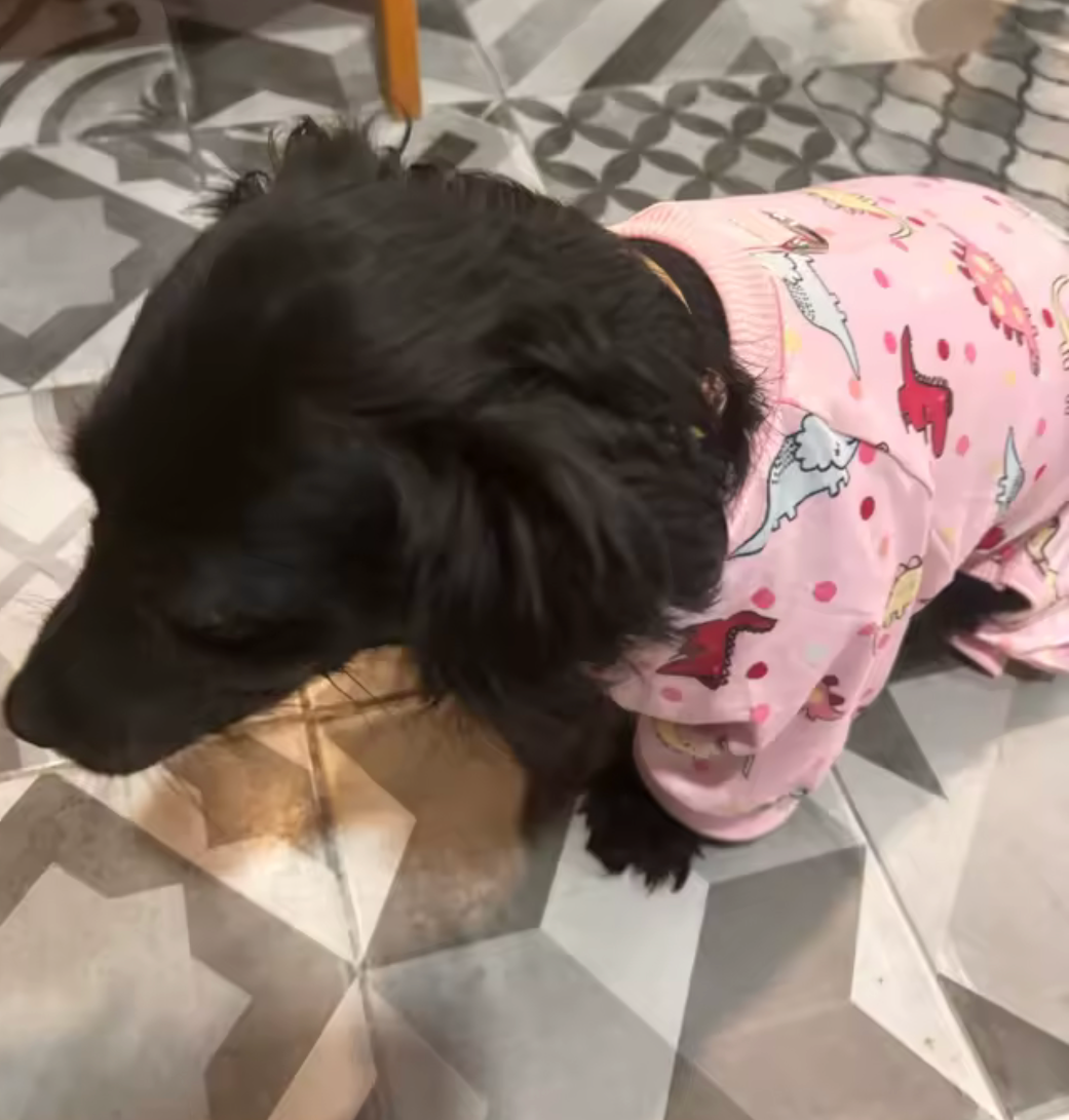 D pjs