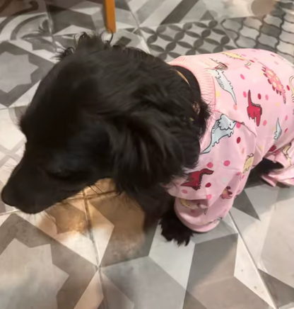 D pjs