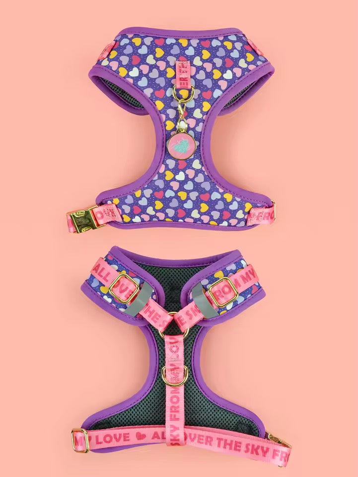 ‘26 summer Tailchic harness