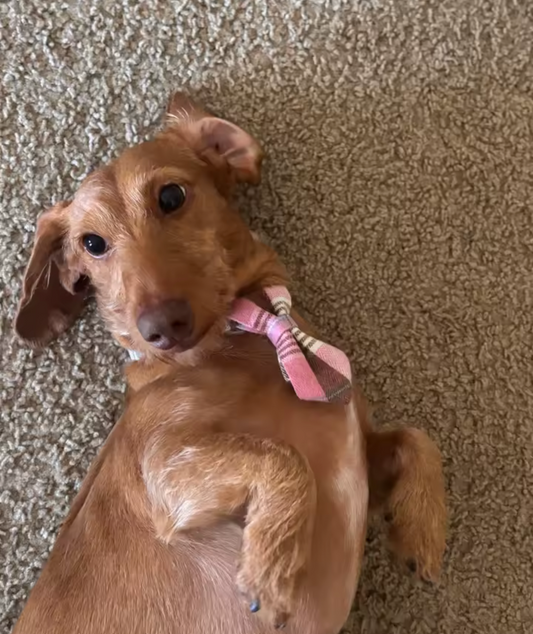 Pink tie