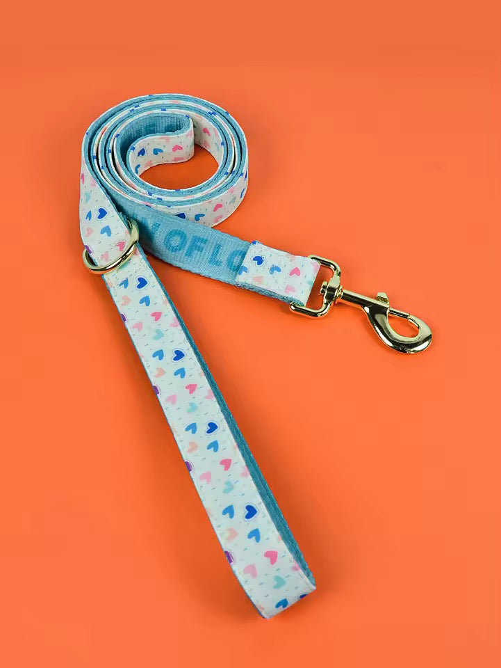‘26 summer leashes