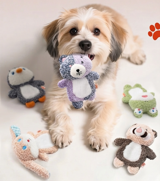 Squeakers Ani collection