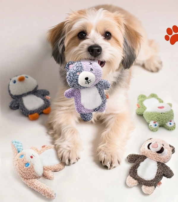 Squeakers Ani collection