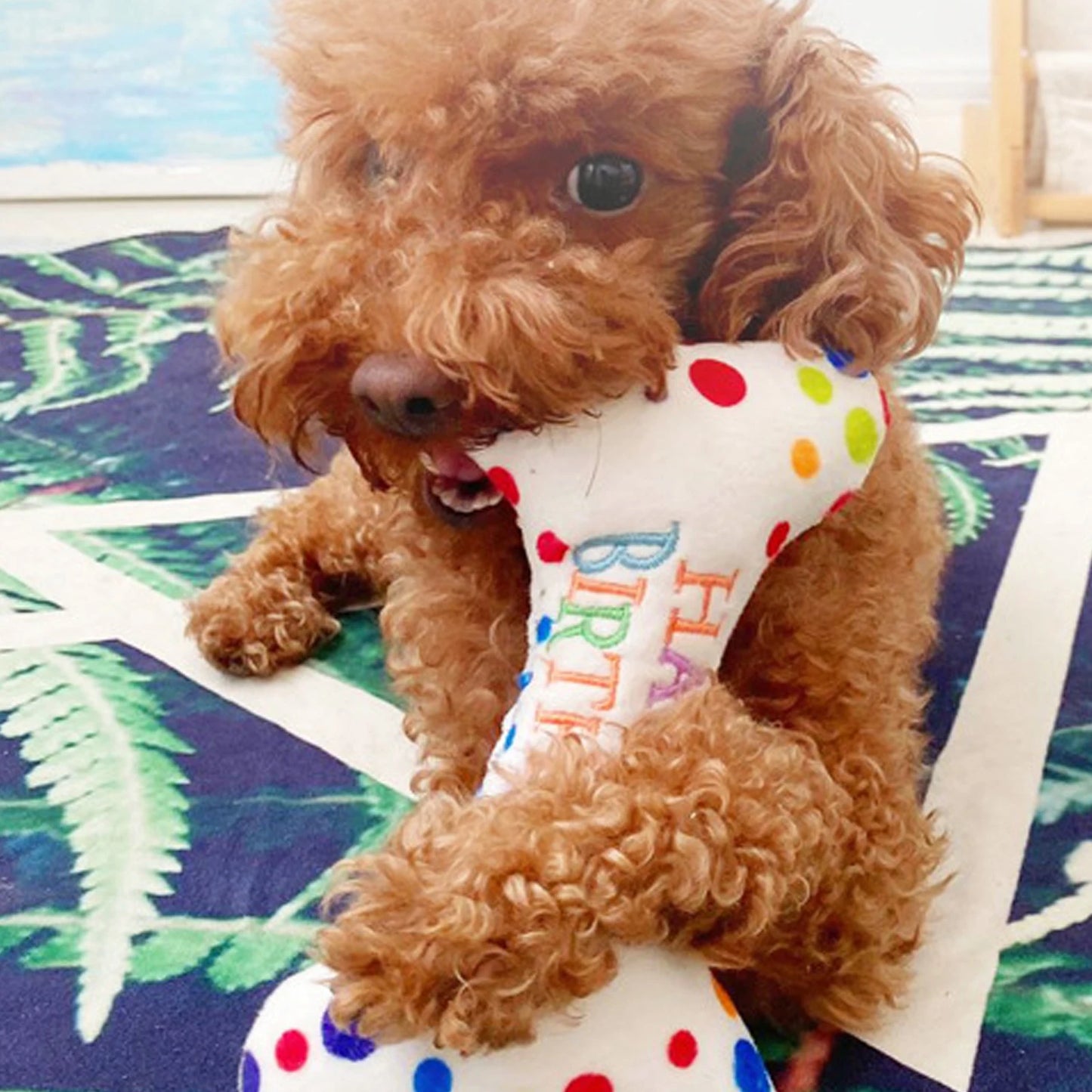 Birthday Bone