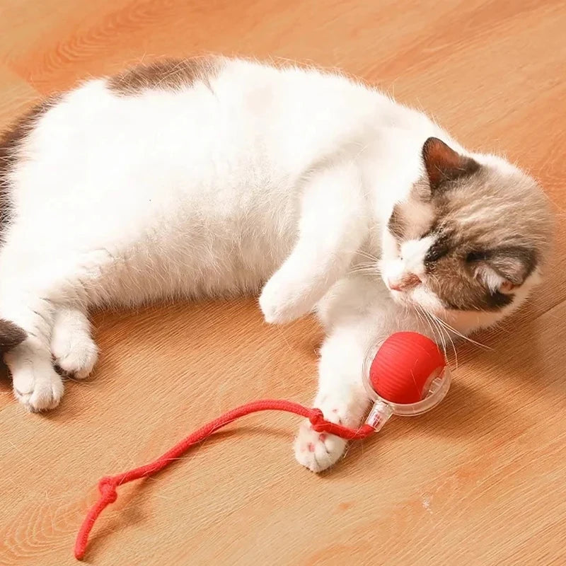 Electric cat ball