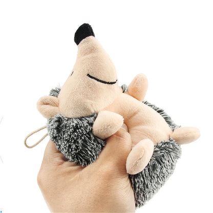 Hedgehog