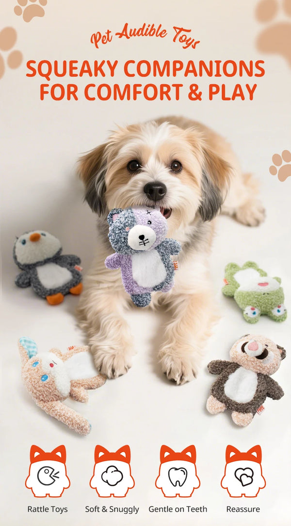 Squeakers Ani collection